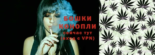 тгк Бронницы