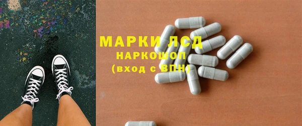 индика Бородино