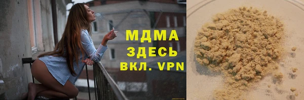 индика Бородино