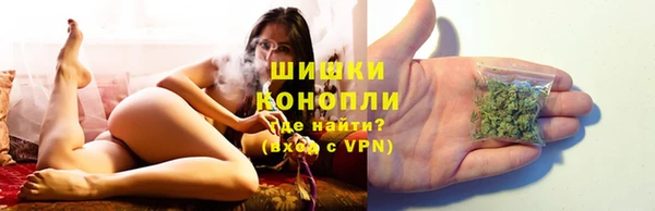 тгк Бронницы