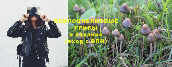 тгк Бронницы