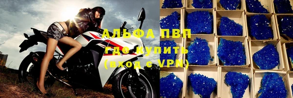 индика Бородино