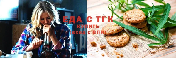 индика Бородино