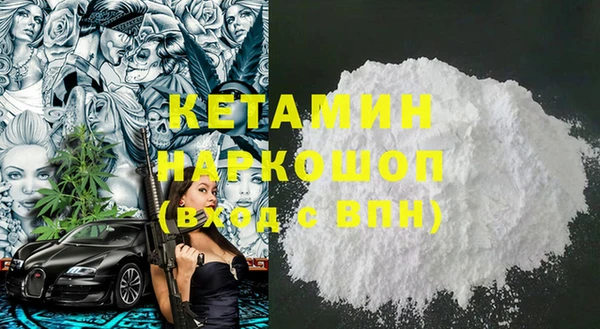 индика Бородино