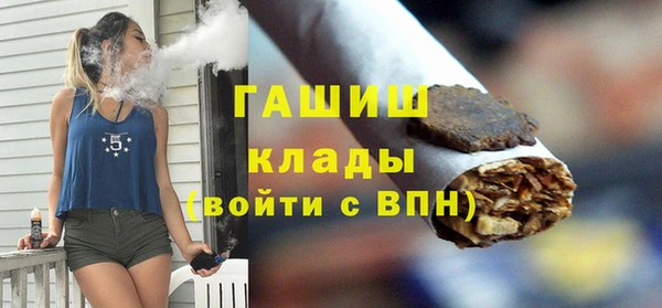 индика Бородино