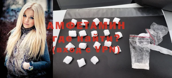 индика Бородино