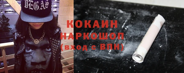индика Бородино