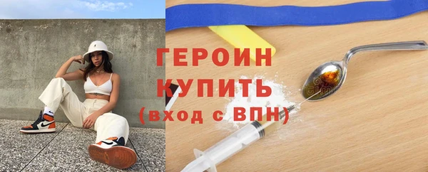 индика Бородино