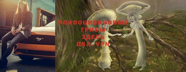ПСИЛОЦИБИНОВЫЕ ГРИБЫ Бугульма